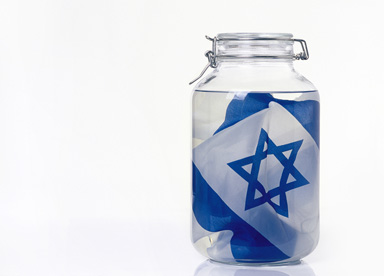 Flag in formalin